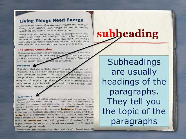 Subheading 3 Subheading 3