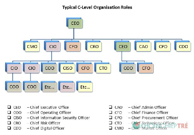 Một số CFO nổi tiếng