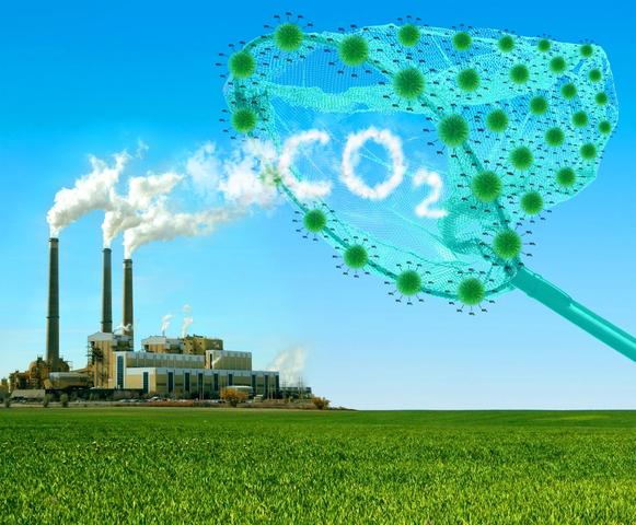 Nguồn gốc hình thành của CO2 Nguồn gốc hình thành của CO2