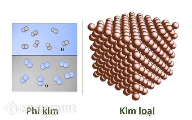 2. Đặc điểm cấu tạo của đơn chất kim loại và phi kim