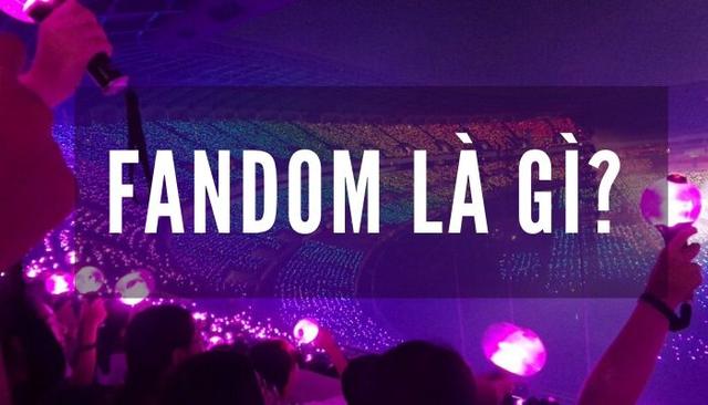 Thuật ngữ liên quan đến Fandom: Fansite
