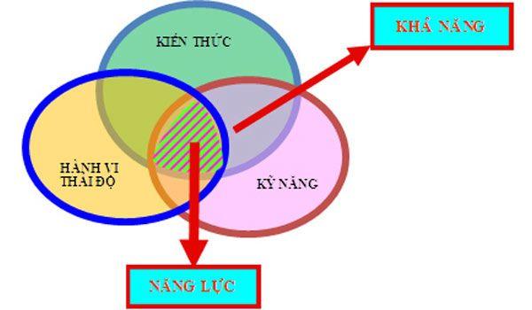 3. Các yếu tố cấu thành năng lực 3. Các yếu tố cấu thành năng lực