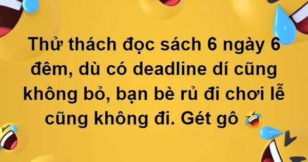 5. Các ví dụ và trường hợp nổi bật