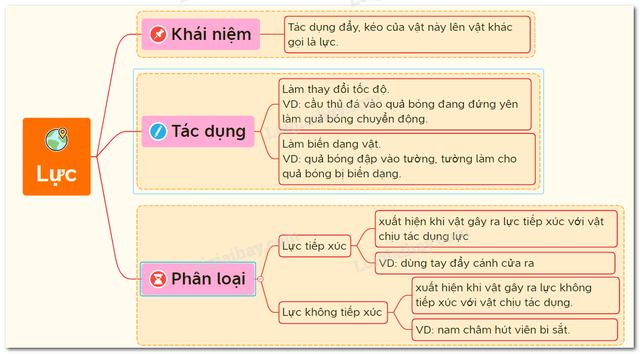 3. Loại lực.