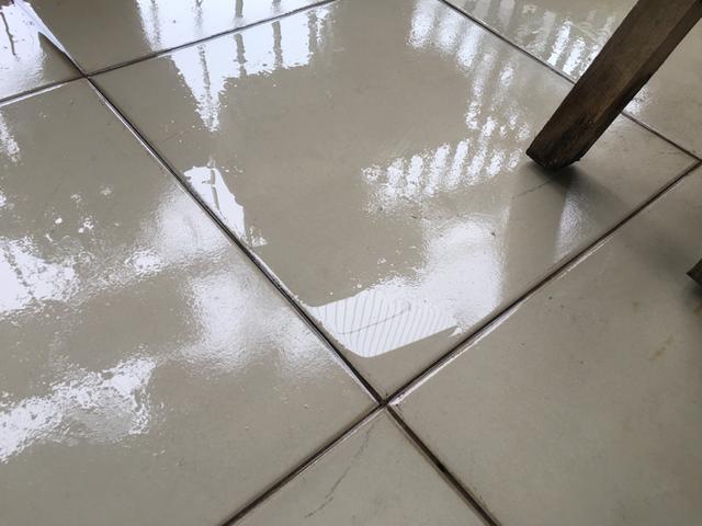 Mẹo khử khuẩn đồ dùng trong nhà để tránh sinh sôi của vi khuẩn và nấm mốc Mẹo khử khuẩn đồ dùng trong nhà để tránh sinh sôi của vi khuẩn và nấm mốc