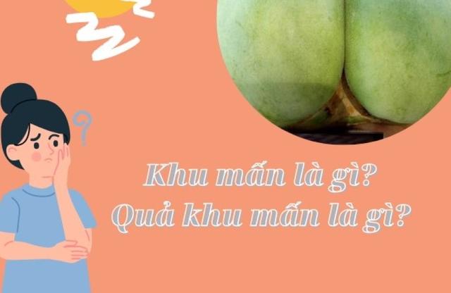 "Tại sao không nên ăn quả khu mấn?"