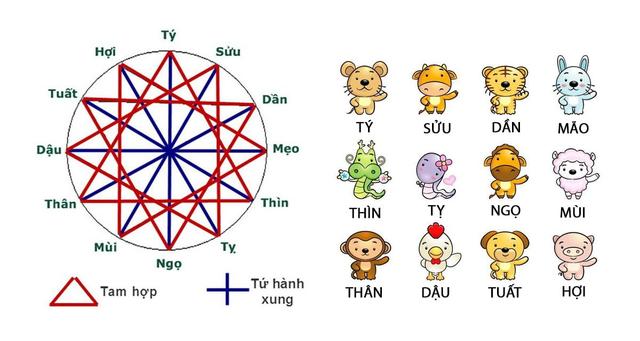 5. Các tuổi thuộc nhóm tam hợp và tính cách của họ.