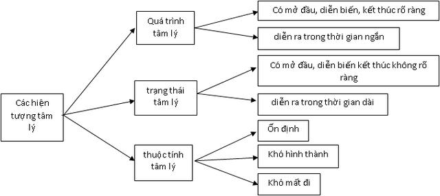 3. Sự ảnh hưởng của hoạt động thể chất, trạng thái tâm lý và yếu tố bên ngoài lên hành vi và tinh thần của con người 3. Sự ảnh hưởng của hoạt động thể chất, trạng thái tâm lý và yếu tố bên ngoài lên hành vi và tinh thần của con người
