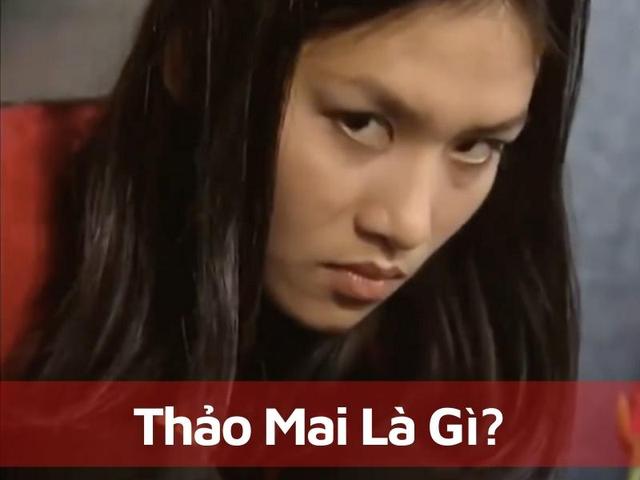Tính chất và công dụng y học của cây thảo mai