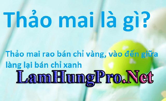 Nguyên nhân và ý nghĩa của từ thảo mai