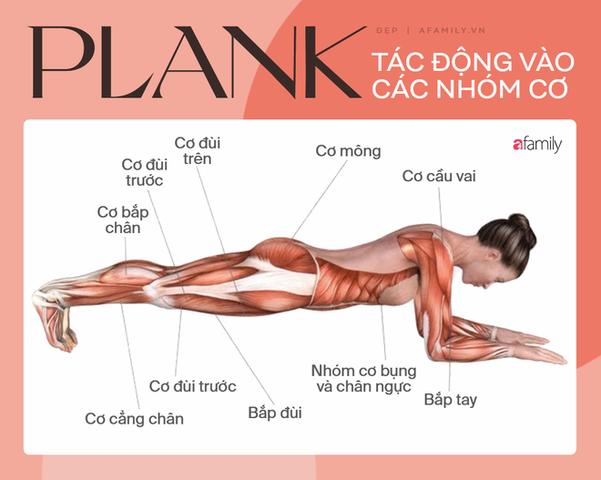 4. Các biến thể của tập plank 4. Các biến thể của tập plank
