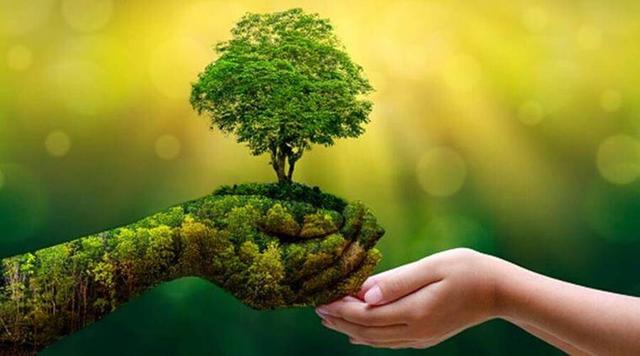 6. Tại sao chúng ta cần phải bảo vệ thiên nhiên?
