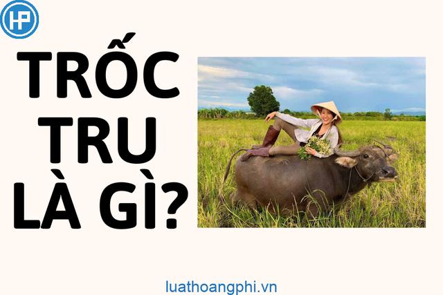 Ý nghĩa của từ "trốc tru" Ý nghĩa của từ "trốc tru"